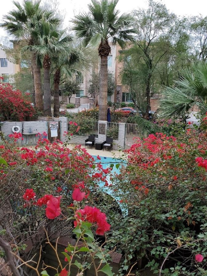 Desert Rose Villas - Private One Bedroom In Old Town 斯科茨 外观 照片